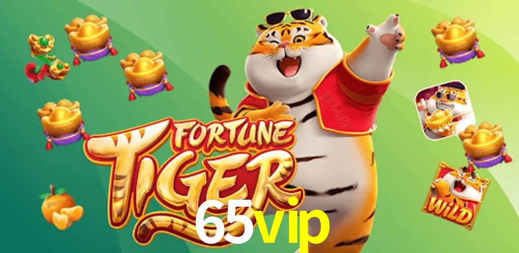 Experiência VIP 65vip